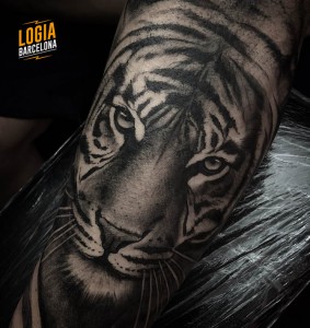 tatuaje_hombro_tigre_Logia_Barcelona_Jas 